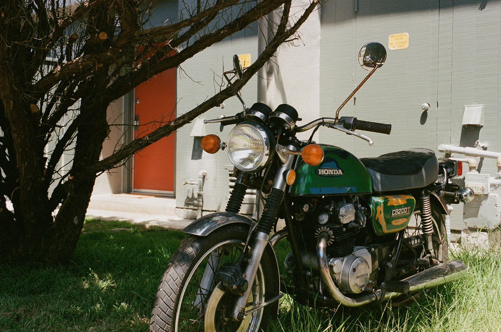 A photograph of a green Honda motorcycle in front of a gray building, next to a tree.